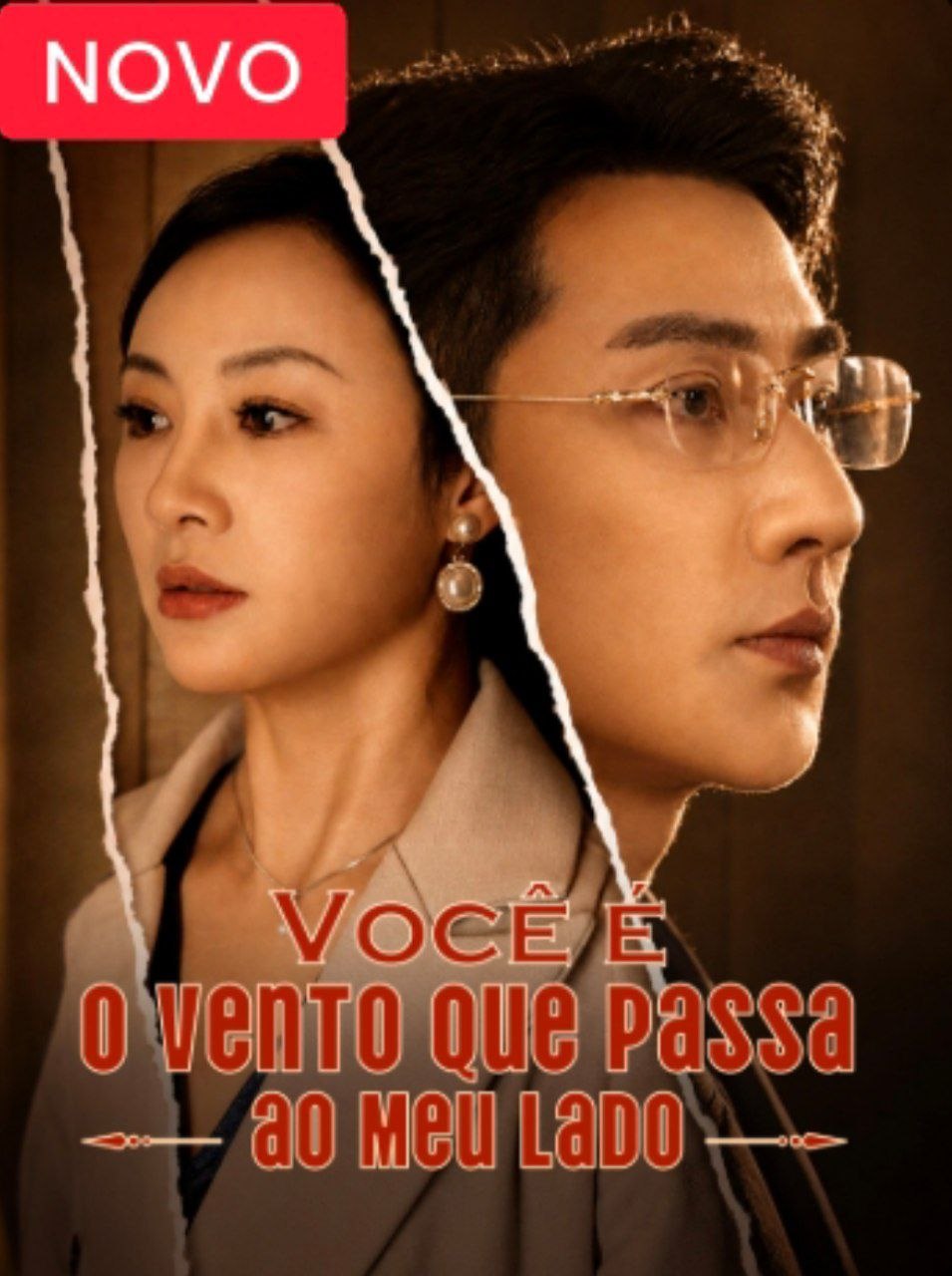 Capa de VOCÊ É O VENTO QUE PASSA AO