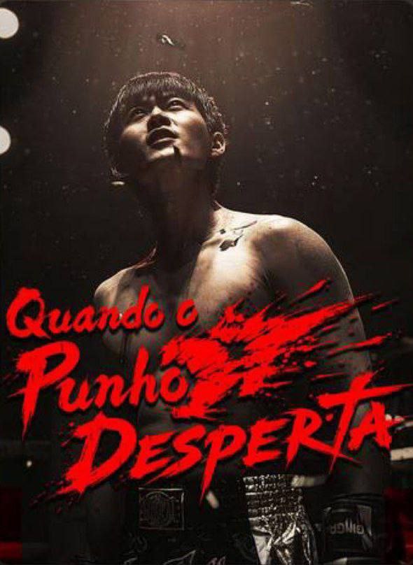 Capa de QUANDO O PUNHO DESPERTA