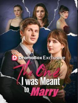 Capa de THE ONE I WAS MEANT TO MARRYA/A PESSOA COM QUEM EU DEVERIA ME CASAR